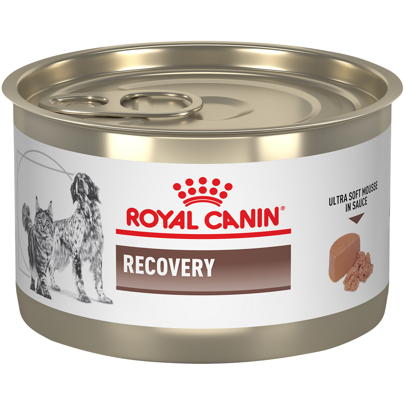 Royal Canin RECOVERY Lata x195g