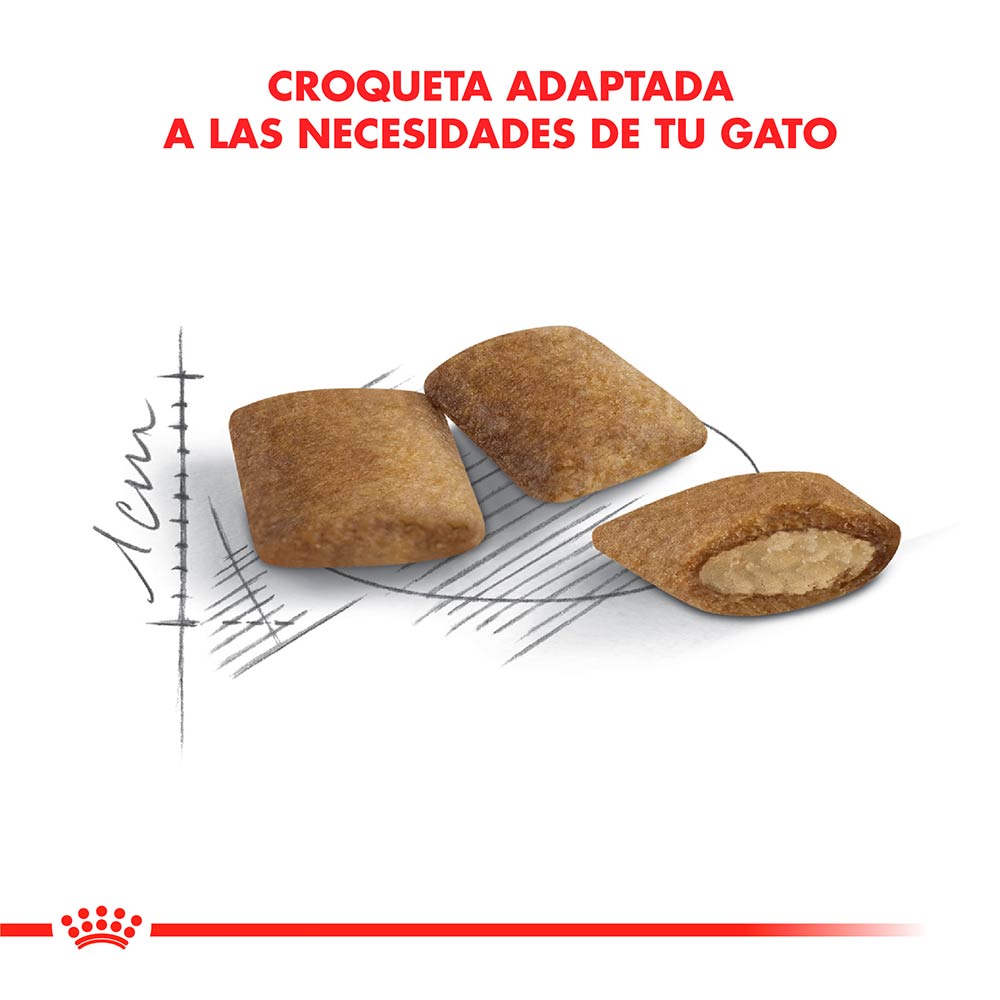 Royal Canin Gato Ageing +12 Años 2kg - Image 2