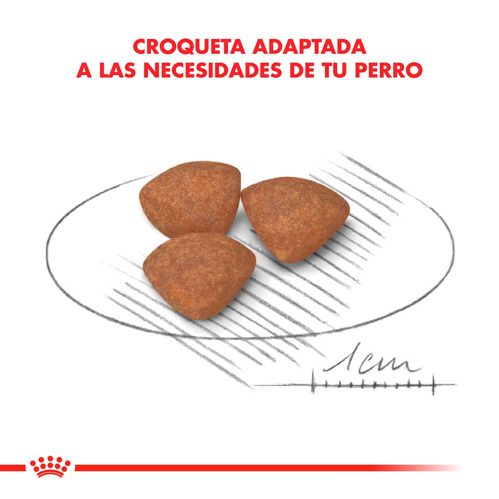 Royal Canin Perro Puppy Raza Mini 1kg - Image 2