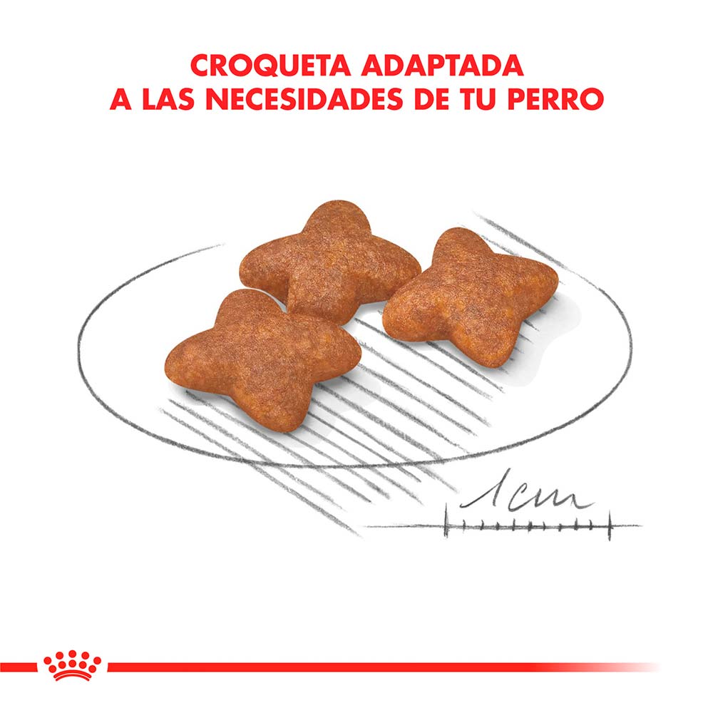 Royal Canin Perro Mini Adulto 7,5kg - Image 2